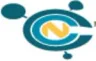 CCN Technologies