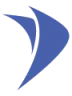 CFS (Corporate Filing Solutions)