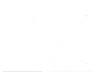 DZSecurity